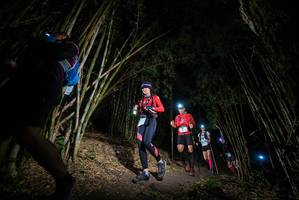 BIB: 
                            <button type="button" onclick="openModal(19395046)" class="btn btn-primary btn-sm float-right btn-popup" data-toggle="modal" data-target=".modal-high-quality">
                        <i class="fas fa-shopping-cart"></i> Add to Cart
                    </button>
                                            <button type="button" onclick="isThisMe(19395046, true)" class="btn btn-success btn-sm float-right btn-popup btn-isme hidden" data-toggle="tooltip" data-placement="bottom" title="นี่คือรูปของคุณใช่ไหม คลิกที่นี่เพื่อเอาเข้าอัลบั้ม">
                        <i class="fas fa-plus"></i> Add to album
                    </button>
                    <button type="button" onclick="isThisMe(19395046, false)" class="btn btn-warning btn-sm float-right btn-popup btn-isnotme hidden">
                        <i class="fas fa-ban"></i> Remove from album
                    </button>